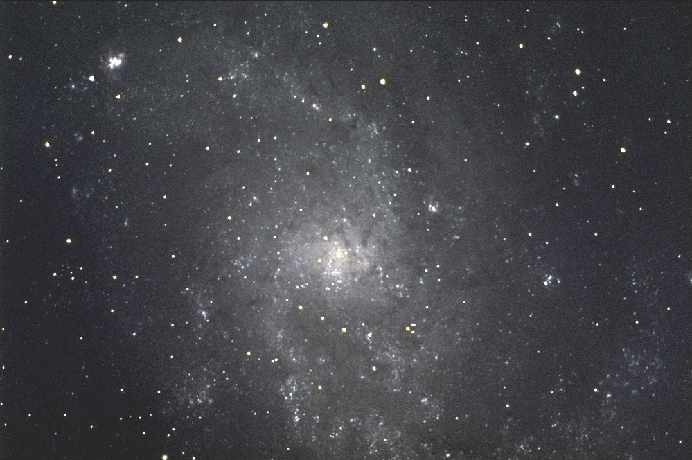 M33